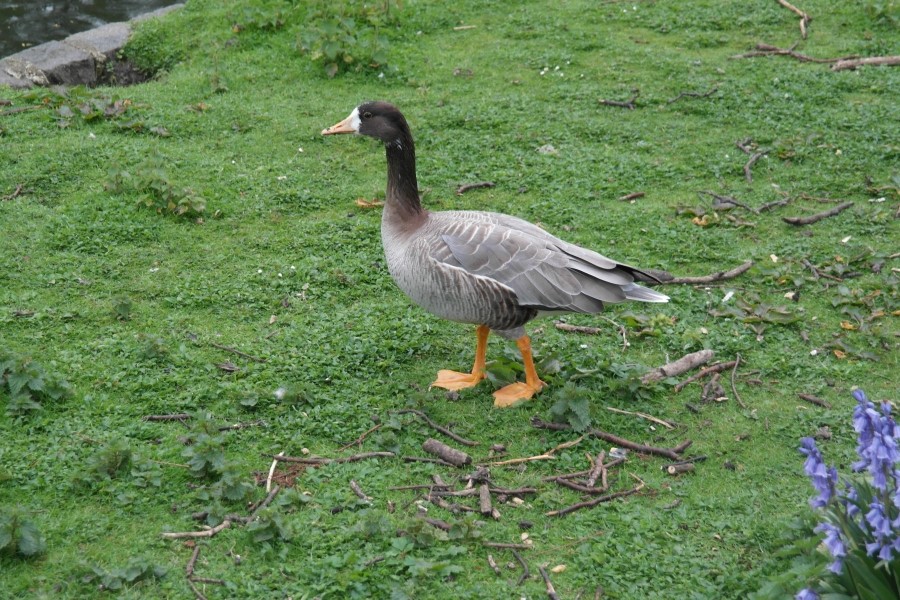 SAM_4649.jpg